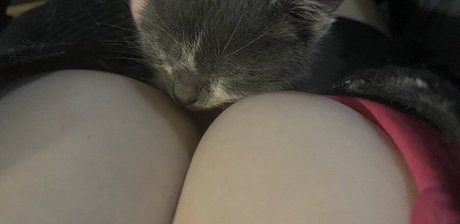 succuhunnybunny top profile image