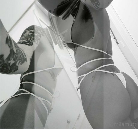 bimbodisco star pornographic pic
