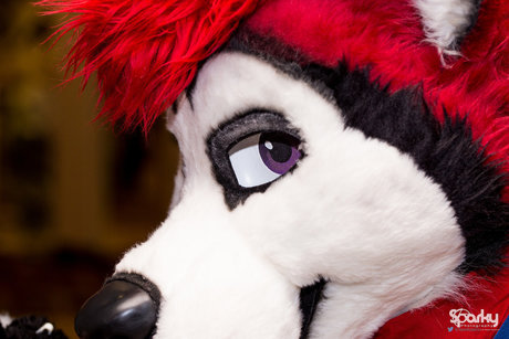 Cenny After Bark pornstar nice pics