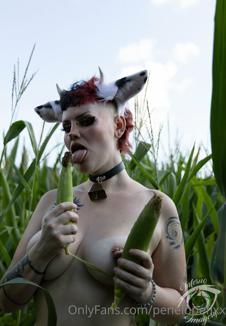 penelopefixx pornographic actress archive