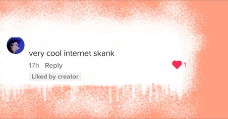 Internet Skank naked star image