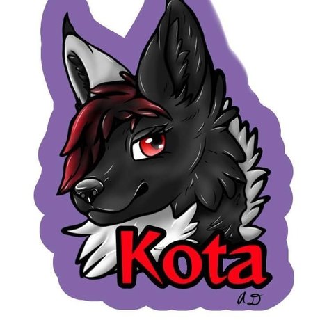 Kota adult model archive