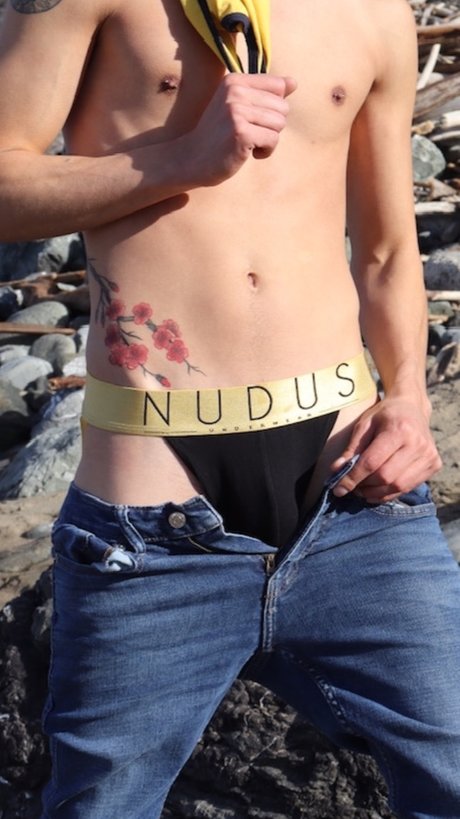 Nicholas A nude star image
