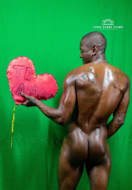 Niche Flow Element pornographic model galleries