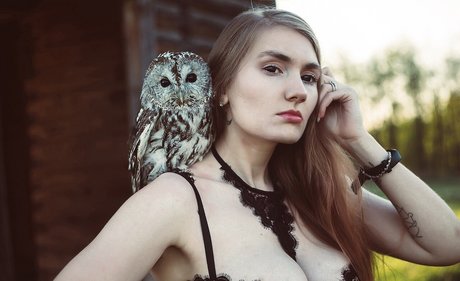 Lyllaangel pornographic actress img