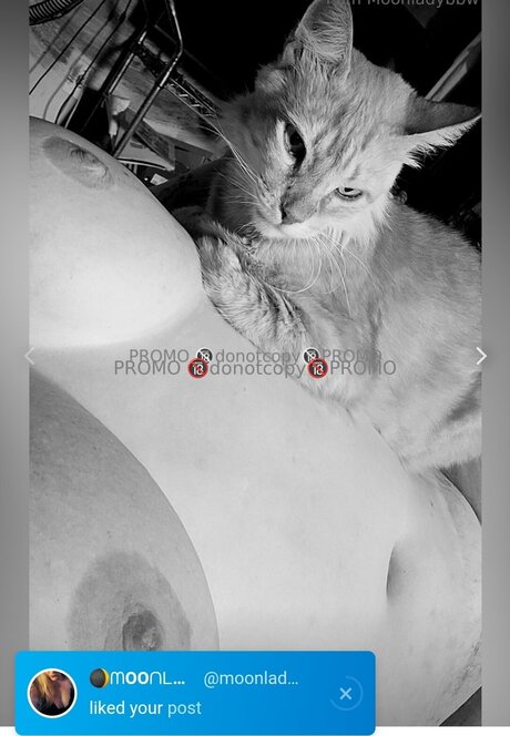 One Sweet One model beautiful photo
