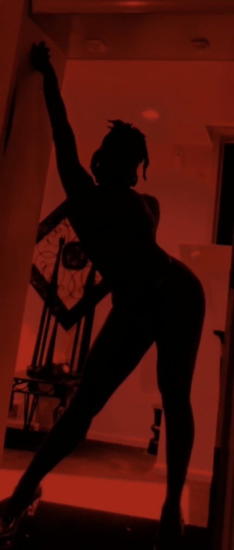 Phoenix Flame pornstar nudes picture