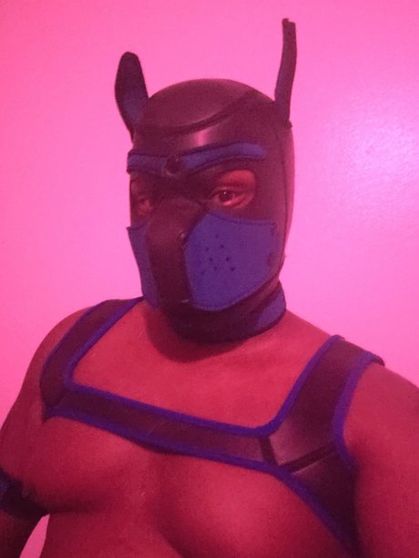 Shadow Pup adult model picture