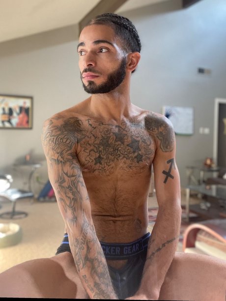 P Jay Dineroo pornstar pictures