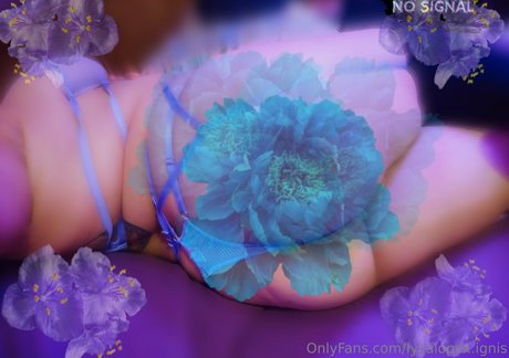 lycalopex ignis star beautiful archive