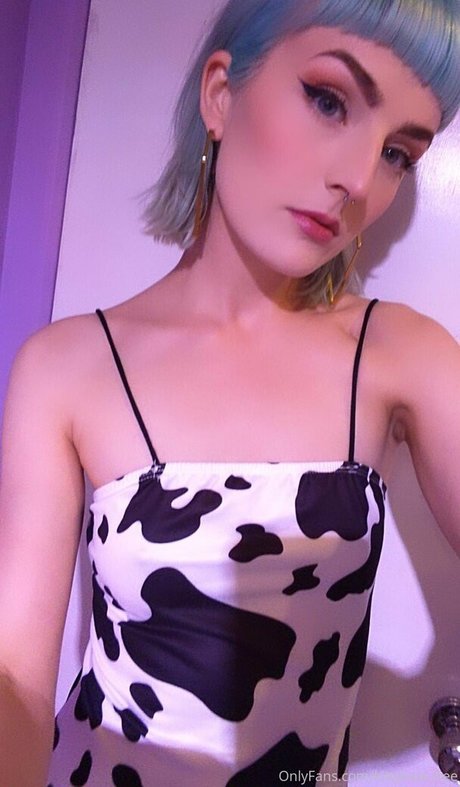 kittykass free hot star archive