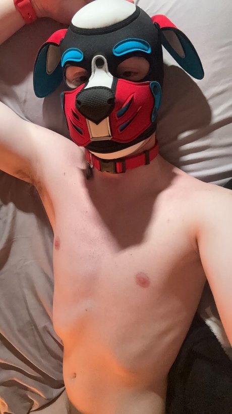 Pup Orpheus pornstar perfect photo