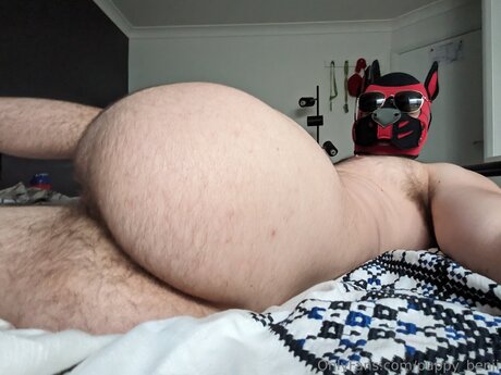 Pup Benji model nude archive