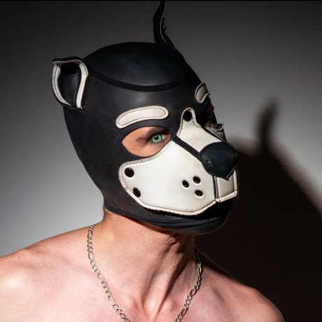 RyderTheK9 top profile image