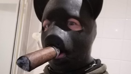 RUBBER CIGAR PIG art star pic