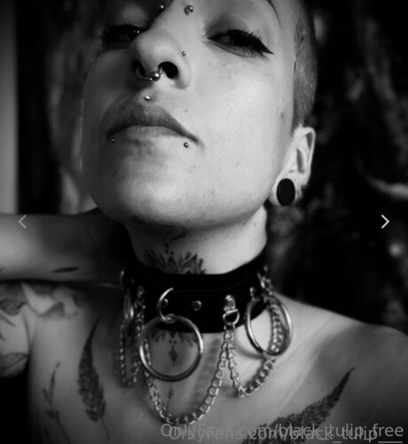 rubber tulip model erotic archive