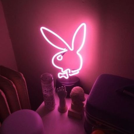 Buns Bunny star hd galleries