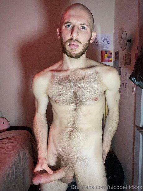Nico Bellic pornstar erotic photo