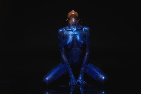 Torian model art archive