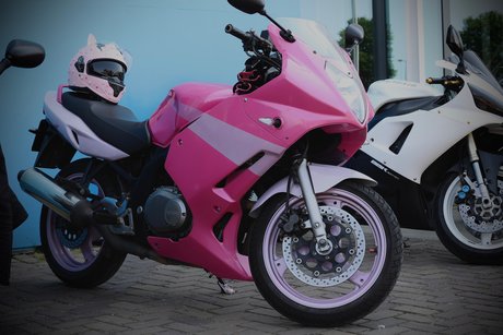 BikePron adult star galleries