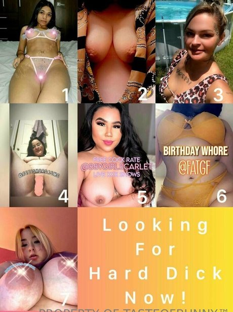 tasteofbunny adult star photo