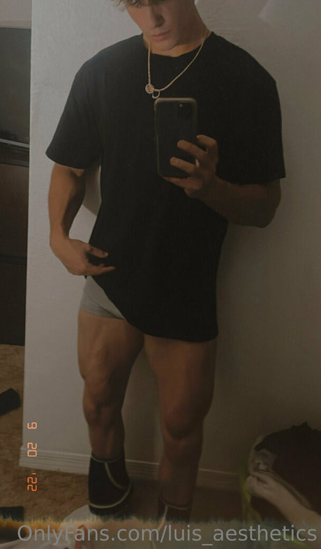 luis aesthetics pornographic star photo
