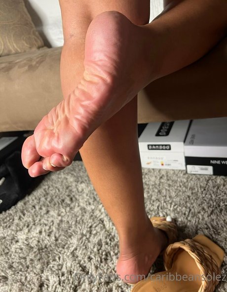 caribbeansolez beautiful pornstar images