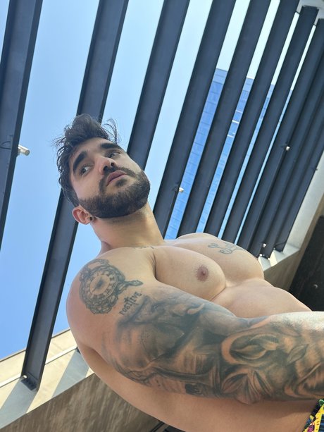 Luis Occhiello star nudes image