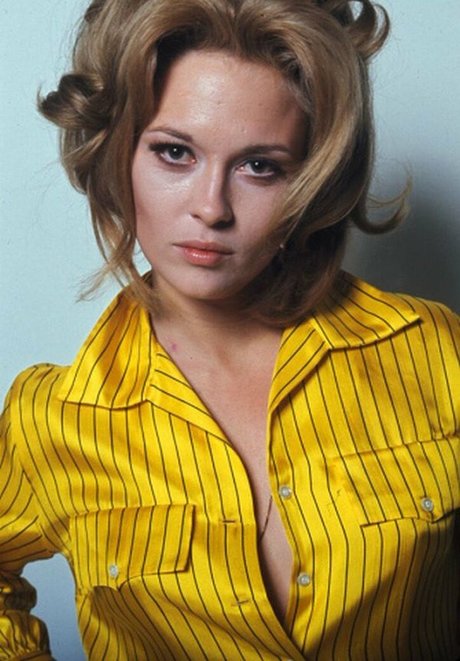 Faye Dunaway nude actress image