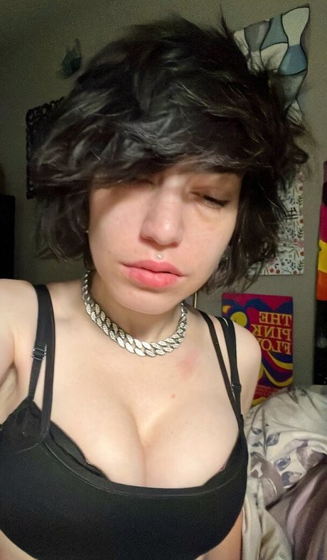 leez      pornstar adult gallery