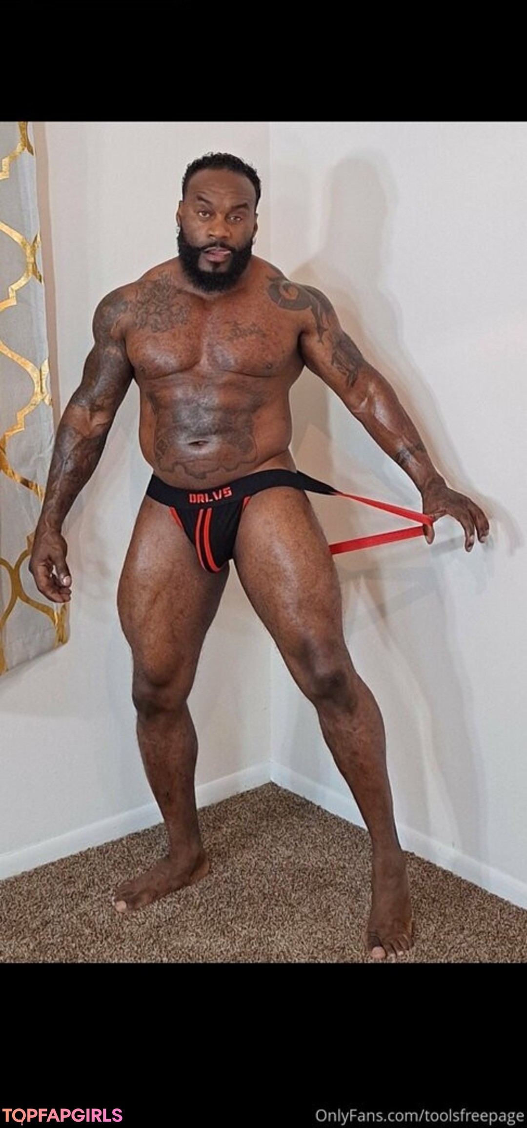 toolsfreepage best model archive