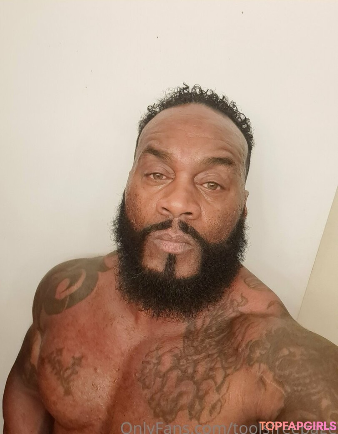 toolsfreepage star hd archive