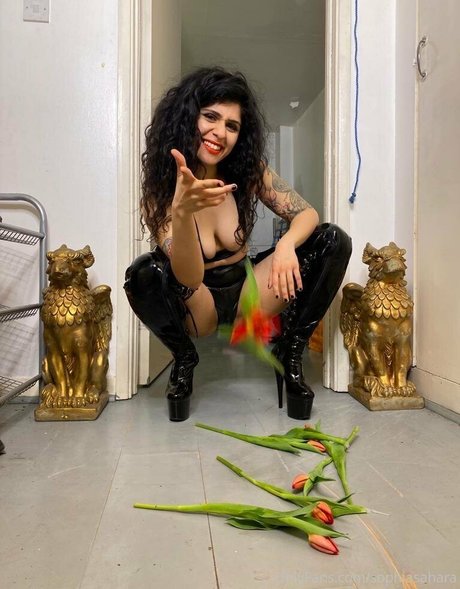 mistresssophiasahara beautiful actress pic