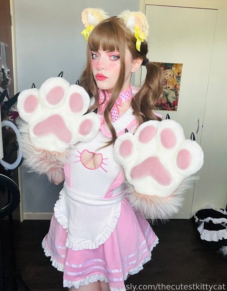 thecutestkittycat top profile image