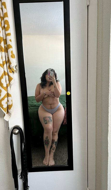 scawee spice nice star galleries