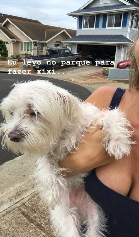 Dani Tamega pornstar hd archive