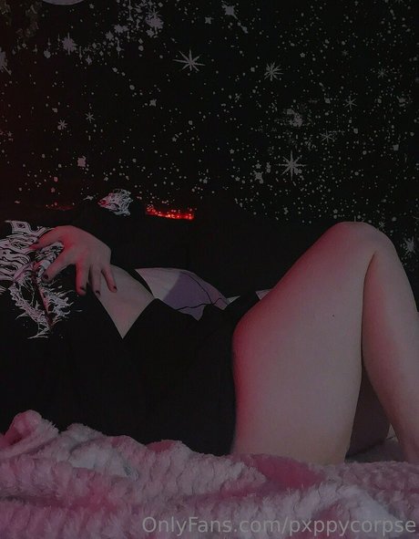 pxppycorpse art star picture