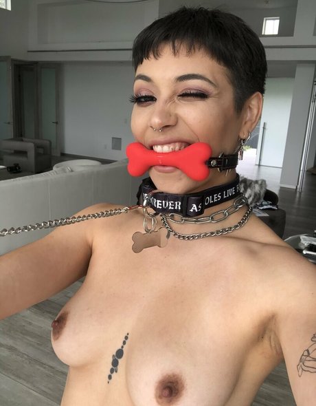 brooklyngrayxxx pretty model img