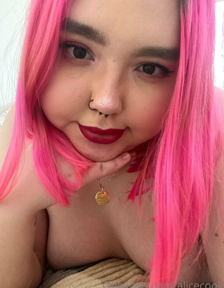 alicecook star top pictures