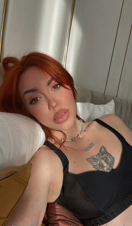 40 onlyfans adult archive