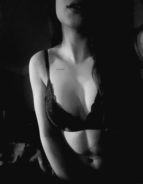 cerenbal free pornographic actress pictures
