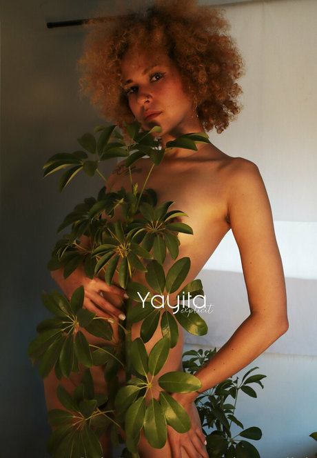yayitaexplicit nice pornstar photo