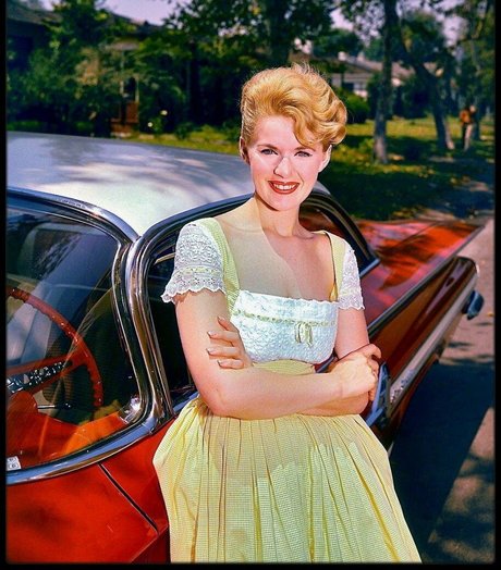 Connie Stevens porn model archive