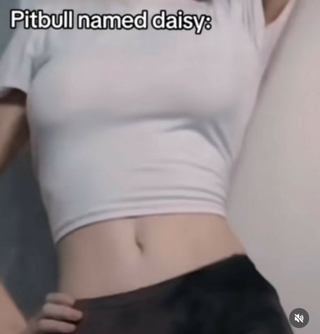 Danny Universe sexy actress pic