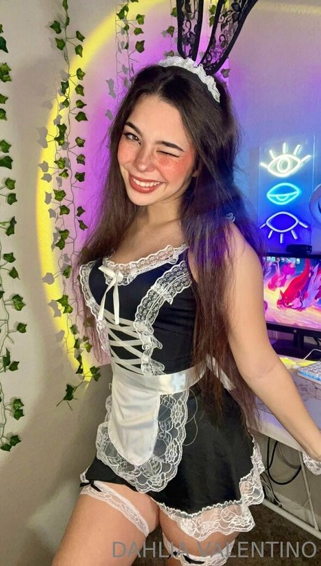 dahliavalentino star hd archive