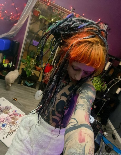 kota morgue free pornstar image