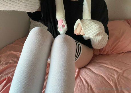 sorabuni profile image
