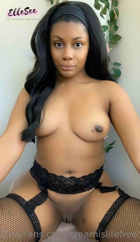 creamislifefree top profile image