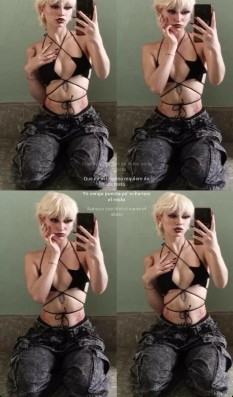 punk doberman sexy star gallery
