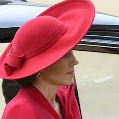 Kate Middleton model adult img